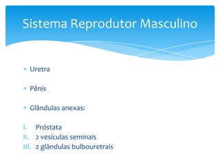Sistema Reprodutor Masculino


  Uretra

  Pênis

  Glândulas anexas:

I. Próstata
II. 2 vesículas seminais
III. 2 glândulas bulbouretrais
 