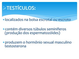 TESTÍCULOS:

•localizados na bolsa escrotal ou escroto

•contém diversos túbulos seminíferos
 (produção dos espermatozóides)

•produzem o hormônio sexual masculino
 testosterona
 