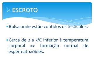  ESCROTO

•Bolsa onde estão contidos os testículos.

•Cerca de 2 a 3ºC inferior à temperatura
 corporal => formação normal de
 espermatozóides.
 