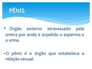  PÊNIS

•  Órgão externo atravessado pela
 uretra por onde é expelido o esperma e
 a urina.

•O pênis é o órgão que estabelece a
 relação sexual.
 