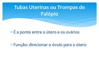 Tubas Uterinas ou Trompas de
           Falópio


É a ponte entre o útero e os ovários

Função: direcionar o óvulo para o útero
 