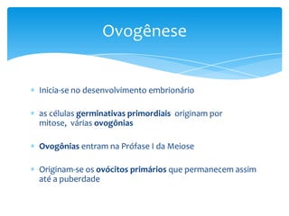 Ovogênese


Inicia-se no desenvolvimento embrionário

as células germinativas primordiais originam por
mitose, várias ovogônias

Ovogônias entram na Prófase I da Meiose

Originam-se os ovócitos primários que permanecem assim
até a puberdade
 