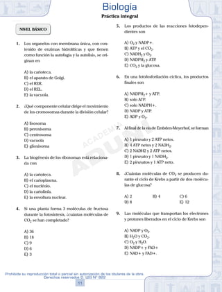 37
SEMANA
NIVEL BÁSICO
1.	 Los organelos con membrana única, con con-
tenido de enzimas hidrolíticas y que tienen
como función la autofagia y la autolisis, se ori-
ginan en
A)	la carioteca.
B)	el aparato de Golgi.
C)	el RER.
D)	el REL.
E)	la vacuola.
2.	 ¿Qué componente celular dirige el movimiento
de los cromosomas durante la división celular?
A)	lisosoma
B)	peroxisoma
C)	centrosoma
D)	vacuola
E)	glioxisoma
3.	 La biogénesis de los ribosomas está relaciona-
da con
A)	la carioteca.
B)	el carioplasma.
C)	el nucléolo.
D)	la cariolinfa.
E)	la envoltura nuclear.
4.	 Si una planta forma 3 moléculas de fructosa
durante la fotosíntesis, ¿cuántas moléculas de
CO2 se han completado?
A)	36
B)	18
C)	9
D)	6
E)	3
5.	 Los productos de las reacciones fotodepen-
dientes son
A)	O2 y NADP+.
B)	ATP y el CO2.
C)	NADH2 y O2.
D)	NADPH2 y ATP.
E)	CO2 y la glucosa.
6.	 En una fotofosforilación cíclica, los productos
finales son
A)	NADPH2+ y ATP.
B)	solo ATP.
C)	solo NADPH+.
D)	NADP y ATP.
E)	ADP y O2.
7.	 Al final de la vía de Embden-Meyerhof, se forman
A)	1 piruvato y 2 ATP netos.
B)	4 ATP netos y 2 NADH2.
C)	2 NADH2 y 2 ATP netos.
D)	1 piruvato y 1 NADH2.
E)	2 piruvatos y 1 ATP neto.
8.	 ¿Cuántas moléculas de CO2 se producen du-
rante el ciclo de Krebs a partir de dos molécu-
las de glucosa?
A)	2	 B)	4				 C)	6
D)	8						 E)	12
9.	 Las moléculas que transportan los electrones
y protones liberados en el ciclo de Krebs son
A)	NADP y O2.
B)	H2O y CO2.
C)	O2 y H2O.
D)	NADP+ y FAD+
E)	NAD+ y FAD+.
11
Prohibida su reproducción total o parcial sin autorización de los titulares de la obra.
Derechos reservados D. LEG Nº 822
Biología
Práctica integral
 