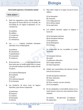 Biología
11
Prohibida su reproducción total o parcial sin autorización de los titulares de la obra.
Derechos reservados D. LEG Nº 822
Intercambio gaseoso y Circulación animal
NIVEL BÁSICO
1.	 Entre los organismos cuyas células intercam-
bian gases de forma directa con el medio, sin
necesidad de un órgano respiratorio, se en-
cuentran los
A)	anélidos.	
B)	anfibios.		
C)	crustáceos.
D)	moluscos.						
E)	celentéreos.
2.	 Los ............... respiran mediante branquias
ubicadas en la cavidad paleal.
A)	poríferos
B)	celentéreos
C)	platelmintos
D)	nematodos
E)	moluscos
3.	 En los insectos, ............. es una extensa red de
finos tubos que se ramifican por todo el cuerpo
y les permite realizar una eficaz conducción de
los gases.
A)	el sistema filotraqueal
B)	el pulmón
C)	la piel
D)	el sistema traqueal
E)	la branquia
4.	 Las lombrices de tierra viven en lugares
húmedos, pues tienen respiración
A)	pulmonar.	
B)	traqueal.		
C)	cutánea.
D)	branquial.						
E)	directa.
5.	 Para subir y bajar en el agua, los peces óseos
utilizan
A)	las branquias.
B)	el alveolo.
C)	la vejiga gaseosa.
D)	la válvula espiral.
E)	los opérculos.
6.	 Los anfibios larvarios captan el oxígeno a
través de
A)	las branquias externas.
B)	las branquias internas.
C)	los pulmones.
D)	las filotráqueas.
E)	la lengua.
7.	 La respiración de los cocodrilos se realiza
mediante
A)	branquias internas.
B)	la piel.
C)	pulmones tabicados.
D)	la vejiga natatoria.
E)	tubos traqueales.
8.	 Señale una característica del sistema circula-
torio de los insectos.
A)	Solo transporta nutrientes.
B)	Tiene eritrocitos.
C)	Es doble.
D)	Tiene corazón con dos cámaras.
E)	Es incompleto.
9.	 En los artrópodos, la hemolinfa retorna al co-
razón dorsal a través de unas aberturas deno-
minadas
A)	ostiolos. 	 B)	opérculos. 	C)	estigmas.
D)	espiráculos. 						 E)	esternitos.
 