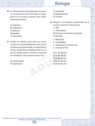 Biología
15
Prohibida su reproducción total o parcial sin autorización de los titulares de la obra.
Derechos reservados D. LEG Nº 822
20.	 La célula nerviosa más importante es la neuro-
na, la cual puede ser de varios tipos. La mayor
parte de las neuronas motoras están confor-
madas por neuronas
A)	unipolares.
B)	multipolares.
C)	aferentes.
D)	bipolares.
E)	intercalares.
21.	 Cuando un estímulo actúa sobre una neuro-
na provoca la permeabilización brusca de la
membrana neuronal al sodio, el cual penetra al
interior, invirtiéndose la distribución de las car-
gas. En el lugar donde se invierte el potencial
de membrana, se dice que la neurona se ha
A)	despolarizado.
B)	repolarizado.
C)	capacitado.
D)	hiperpolarizado.
E)	excitado.
22.	 Respecto a los distintos componentes de la
neurona, relacione correctamente.
	 I.	 RER
	 II.	 citoesqueleto
	 III.	lisosomas neuronales envejecidos
	 IV.	dendritas
	 a.	 lipofucsina
	 b.	 neurofibrillas
	 c.	 prolongación neuronal corta
	 d.	 cuerpos de Nissl
A)	Ic, IIb, IIIa, IVd
B)	Ib, IId, IIIa, IVc
C)	Id, IIa, IIIb, IVc
D)	Id, IIb, IIIa, IVc
E)	Id, IIb, IIIc, IVa
 