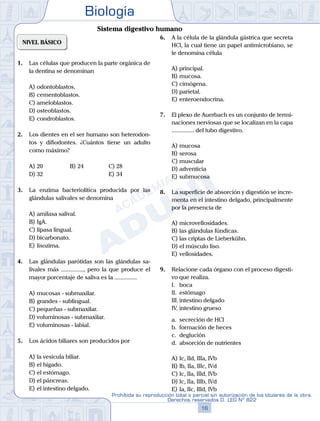 Biología
16
Prohibida su reproducción total o parcial sin autorización de los titulares de la obra.
Derechos reservados D. LEG Nº 822
NIVEL BÁSICO
1.	 Las células que producen la parte orgánica de
la dentina se denominan
A)	odontoblastos.
B)	cementoblastos.
C)	ameloblastos.
D)	osteoblastos.
E)	condroblastos.
2.	 Los dientes en el ser humano son heterodon-
tos y difiodontes. ¿Cuántos tiene un adulto
como máximo?
A)	20	 B)	24			 C)	28
D)	32						 E)	34
3.	 La enzima bacteriolítica producida por las
glándulas salivales se denomina
A)	amilasa salival.
B)	IgA.
C)	lipasa lingual.
D)	bicarbonato.
E)	lisozima.
4.	 Las glándulas parótidas son las glándulas sa-
livales más ..............., pero la que produce el
mayor porcentaje de saliva es la ...............
A)	mucosas - submaxilar.
B)	grandes - sublingual.
C)	pequeñas - submaxilar.
D)	voluminosas - submaxilar.
E)	voluminosas - labial.
5.	 Los ácidos biliares son producidos por
A)	la vesícula biliar.
B)	el hígado.
C)	el estómago.
D)	el páncreas.
E)	el intestino delgado.
6.	 A la célula de la glándula gástrica que secreta
HCl, la cual tiene un papel antimicrobiano, se
le denomina célula
A)	principal.
B)	mucosa.
C)	cimógena.
D)	parietal.
E)	enteroendocrina.
7.	 El plexo de Auerbach es un conjunto de termi-
naciones nerviosas que se localizan en la capa
............... del tubo digestivo.
A)	mucosa
B)	serosa
C)	muscular
D)	adventicia
E)	submucosa
8.	 La superficie de absorción y digestión se incre-
menta en el intestino delgado, principalmente
por la presencia de
A)	microvellosidades.
B)	las glándulas fúndicas.
C)	las criptas de Lieberkühn.
D)	el músculo liso.
E)	vellosidades.
9.	 Relacione cada órgano con el proceso digesti-
vo que realiza.
	 I.	 boca
	 II.	 estómago
	 III.	intestino delgado
	 IV.	intestino grueso
	 a.	 secreción de HCl
	 b.	 formación de heces
	 c.	 deglución
	 d.	 absorción de nutrientes
A)	Ic, IId, IIIa, IVb
B)	Ib, IIa, IIIc, IVd
C)	Ic, IIa, IIId, IVb
D)	Ic, IIa, IIIb, IVd
E)	Ia, IIc, IIId, IVb
Sistema digestivo humano
 