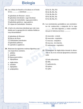Biología
18
Prohibida su reproducción total o parcial sin autorización de los titulares de la obra.
Derechos reservados D. LEG Nº 822
18.	 Las células de Paneth se localizan en el fondo
de las ............... y sintetizan ...............
A)	glándulas de Brunner - moco.
B)	glándulas intestinales - jugo intestinal.
C)	criptas de Lieberkühn - jugo pancreático.
D)	glándulas gástricas - jugo gástrico.
E)	criptas de Lieberkühn - lisozima.
19.	 ¿Cuál es la estructura intestinal que está cons-
tituida por la agrupación de nódulos linfáticos
muy desarrollados?
A)	glándulas de Brunner
B)	placas de Peyer
C)	vellosidades intestinales
D)	glándulas pilóricas
E)	apéndices epiploicos
20.	 Relacione las siguientes enzimas digestivas con
sus respectivos sustratos.
	 I.	 ptialina
	 II.	 pepsina
	 III.	lipasa pancreática
	 V.	 dipeptidasa
	 a.	 triglicéridos
	 b.	 almidón
	 c.	 dipéptidos
	 d.	 polipéptidos
A)	Ib, IIc, IIIa, IVd
B)	Id, IIb, IIIc, IVa
C)	Id, IIb, IIIa, IVc
D)	Ib, IId, IIIc, IVa
E)	Ib, IId, IIIa, IVc
21.	 Los movimientos peristálticos son movimien-
tos de contracción y relajación de la capa
............... del tubo digestivo, y están controla-
dos por el sistema nervioso ...............
A)	muscular - central.
B)	muscular - vegetativo.
C)	mucosa - simpático.
D)	mucosa - de relación.
E)	submucosa - vegetativo.
22.	 El transporte de triglicéridos durante la absor-
ción se da en la vesícula lipoproteica denomi-
nada
A)	bolo alimenticio.
B)	HDL.
C)	quilomicrón.
D)	quimo.
E)	quilo.
 