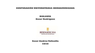 CORPORACIÓN UNIVERSITARIA IBEROAMERICANA
BIOLOGÍA
Oscar Rodriguez
Cesar Andres Vallecilla
2020
 