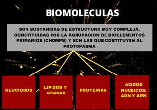 SON SUSTANCIAS DE ESTRUCTURA MUY COMPLEJA,
CONSTITUIDAS POR LA AGRUPACION DE BIOELEMENTOS
PRIMARIOS (CHOMPS) Y SON LAS QUE COSTITUYEN AL
PROTOPASMA
BIOMOLECULAS
GLUCIODOS
LIPIDOS Y
GRASAS
ACIDOS
NUCEICOS:
ADN Y ARN
PROTEINAS
 