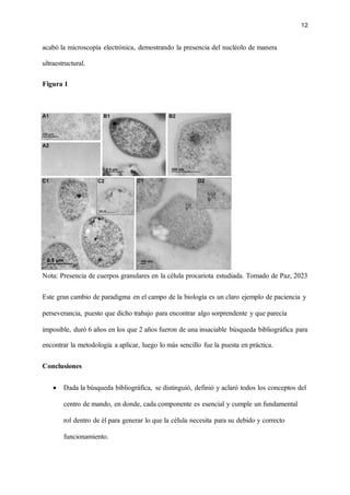 12
acabó la microscopía electrónica, demostrando la presencia del nucléolo de manera
ultraestructural.
Figura 1
Nota: Presencia de cuerpos granulares en la célula procariota estudiada. Tomado de Paz, 2023
Este gran cambio de paradigma en el campo de la biología es un claro ejemplo de paciencia y
perseverancia, puesto que dicho trabajo para encontrar algo sorprendente y que parecía
imposible, duró 6 años en los que 2 años fueron de una insaciable búsqueda bibliográfica para
encontrar la metodología a aplicar, luego lo más sencillo fue la puesta en práctica.
Conclusiones
• Dada la búsqueda bibliográfica, se distinguió, definió y aclaró todos los conceptos del
centro de mando, en donde, cada componente es esencial y cumple un fundamental
rol dentro de él para generar lo que la célula necesita para su debido y correcto
funcionamiento.
 