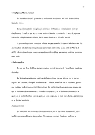 8
Complejos del Poro Nuclear
La membrana interna y externa se encuentran atravesadas por unas perforaciones
llamados poros.
Los poros nucleares son grandes complejos proteicos de comunicación entre el
citoplasma y el núcleo, que sirven como tamiz molecular, permitiendo el paso de algunas
sustancias e impidiendo el de otras, hacia ambos lados de la envuelta nuclear.
Algo muy importante que suele salir de los poros es el ARNm con la información del
ADN debido a la transcripción para que sea llevado al ribosoma y que junto al ARNt, el
ARNr y la peptitransferasa generen una cadena polipeptídica: ya sea una proteína, hormona,
entre otros.
Lámina nuclear
Es una red llena de fibras que proporciona soporte estructural y estabilidad mecánica
al núcleo.
La lámina interactúa con proteínas de la membrana nuclear interna por lo que es
seguida de: Emerina y receptor de laminina B. También interactúa con la cromatina, puesto
que participa en la organización tridimensional del núcleo interfásico, por ende, en caso de
que la lámina nuclear desaparezca, el núcleo desaparece; y si la lámina nuclear vuelve a
aparecer, el núcleo también vuelve aparecer. Esta propiedad es muy importante especialmente
en la fase de la mitosis.
Nucleoesqueleto
La estructura del núcleo no solo es mantenida por su envoltura membranosa, sino
también por una red interna de proteínas fibrosas que cumplen funciones análogas al
 
