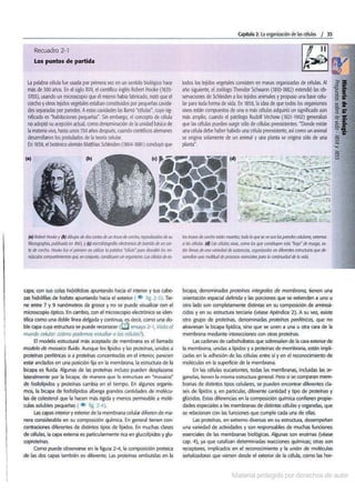  Biologia-7ma-ed-cap-2