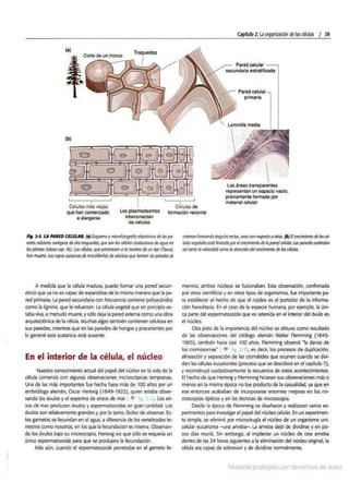  Biologia-7ma-ed-cap-2