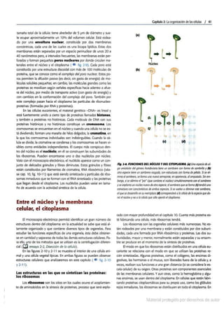  Biologia-7ma-ed-cap-2