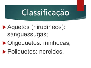  Aquetos (hirudíneos):
sanguessugas;
Oligoquetos: minhocas;
Poliquetos: nereides.
Classificação