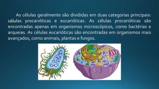 As células geralmente são divididas em duas categorias principais:
células procarióticas e eucarióticas. As células procarióticas são
encontradas apenas em organismos microscópicos, como bactérias e
arqueias. As células eucarióticas são encontradas em organismos mais
avançados, como animais, plantas e fungos.
 