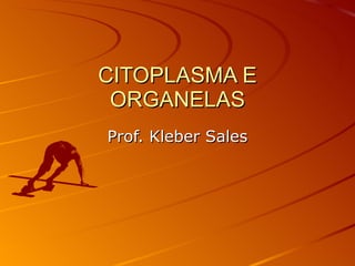 CITOPLASMA E ORGANELAS Prof. Kleber Sales 
