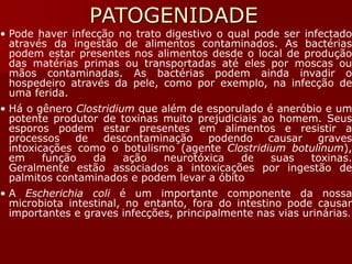 PATOGENIDADE
• Pode haver infecção no trato digestivo o qual pode ser infectado
através da ingestão de alimentos contaminados. As bactérias
podem estar presentes nos alimentos desde o local de produção
das matérias primas ou transportadas até eles por moscas ou
mãos contaminadas. As bactérias podem ainda invadir o
hospedeiro através da pele, como por exemplo, na infecção de
uma ferida.
• Há o gênero Clostridium que além de esporulado é aneróbio e um
potente produtor de toxinas muito prejudiciais ao homem. Seus
esporos podem estar presentes em alimentos e resistir a
processos de descontaminação podendo causar graves
intoxicações como o botulismo (agente Clostridium botulinum),
em função da ação neurotóxica de suas toxinas.
Geralmente estão associados a intoxicações por ingestão de
palmitos contaminados e podem levar a óbito
• A Escherichia coli é um importante componente da nossa
microbiota intestinal, no entanto, fora do intestino pode causar
importantes e graves infecções, principalmente nas vias urinárias.
 