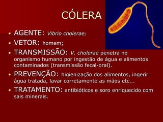 CÓLERA
• AGENTE: Vibrio cholerae;
• VETOR: homem;
• TRANSMISSÃO: V. cholerae penetra no
organismo humano por ingestão de água e alimentos
contaminados (transmissão fecal-oral).
• PREVENÇÃO: higienização dos alimentos, ingerir
água tratada, lavar corretamente as mãos etc...
• TRATAMENTO: antibióticos e soro enriquecido com
sais minerais.
 