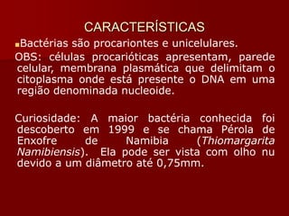 CARACTERÍSTICAS
■Bactérias são procariontes e unicelulares.
OBS: células procarióticas apresentam, parede
celular, membrana plasmática que delimitam o
citoplasma onde está presente o DNA em uma
região denominada nucleoide.
Curiosidade: A maior bactéria conhecida foi
descoberto em 1999 e se chama Pérola de
Enxofre de Namibia (Thiomargarita
Namibiensis). Ela pode ser vista com olho nu
devido a um diâmetro até 0,75mm.
 