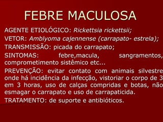 FEBRE MACULOSA
AGENTE ETIOLÓGICO: Rickettsia rickettsii;
VETOR: Amblyoma cajennense (carrapato- estrela);
TRANSMISSÃO: picada do carrapato;
SINTOMAS: febre,macula, sangramentos,
comprometimento sistêmico etc...
PREVENÇÃO: evitar contato com animais silvestre
onde há incidência da infecção, vistoriar o corpo de 3
em 3 horas, uso de calças compridas e botas, não
esmagar o carrapato e uso de carrapaticida.
TRATAMENTO: de suporte e antibióticos.
 