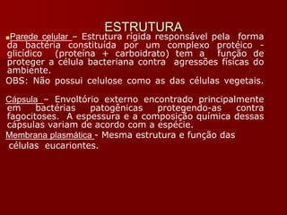ESTRUTURA
■Parede celular – Estrutura rígida responsável pela forma
da bactéria constituída por um complexo protéico -
glicídico (proteína + carboidrato) tem a função de
proteger a célula bacteriana contra agressões físicas do
ambiente.
OBS: Não possui celulose como as das células vegetais.
Cápsula – Envoltório externo encontrado principalmente
em bactérias patogênicas protegendo-as contra
fagocitoses. A espessura e a composição química dessas
cápsulas variam de acordo com a espécie.
Membrana plasmática - Mesma estrutura e função das
células eucariontes.
 