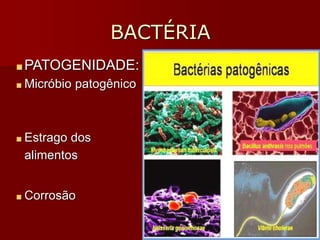 BACTÉRIA
■PATOGENIDADE:
■ Micróbio patogênico
■ Estrago dos
alimentos
■ Corrosão
 