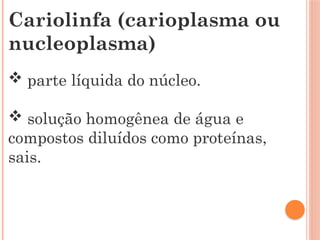 biologia-biologia-celular-do-nucleo.pptx