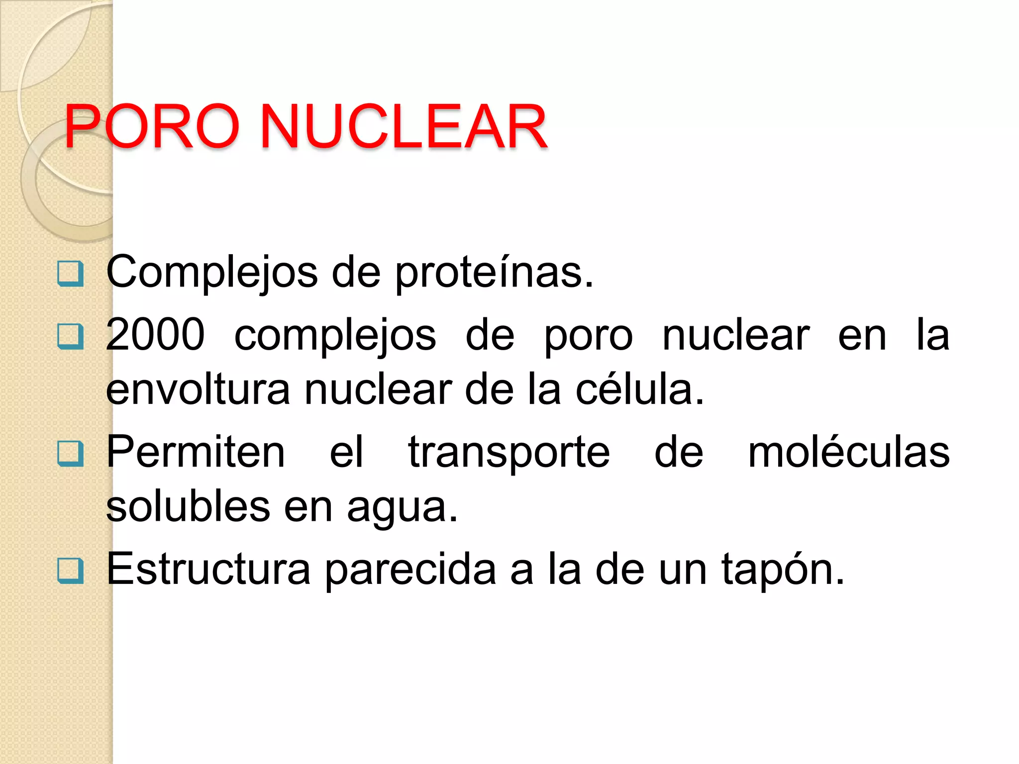 PORO NUCLEAR
Complejos de proteínas.
2000 complejos de poro nuclear en la
envoltura nuclear de la célula.
Permiten el transporte de moléculas
solubles en agua.
Estructura parecida a la de un tapón.