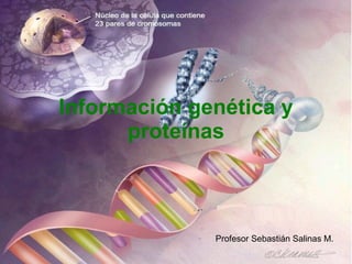 Información genética y proteínas Profesor Sebastián Salinas M. 