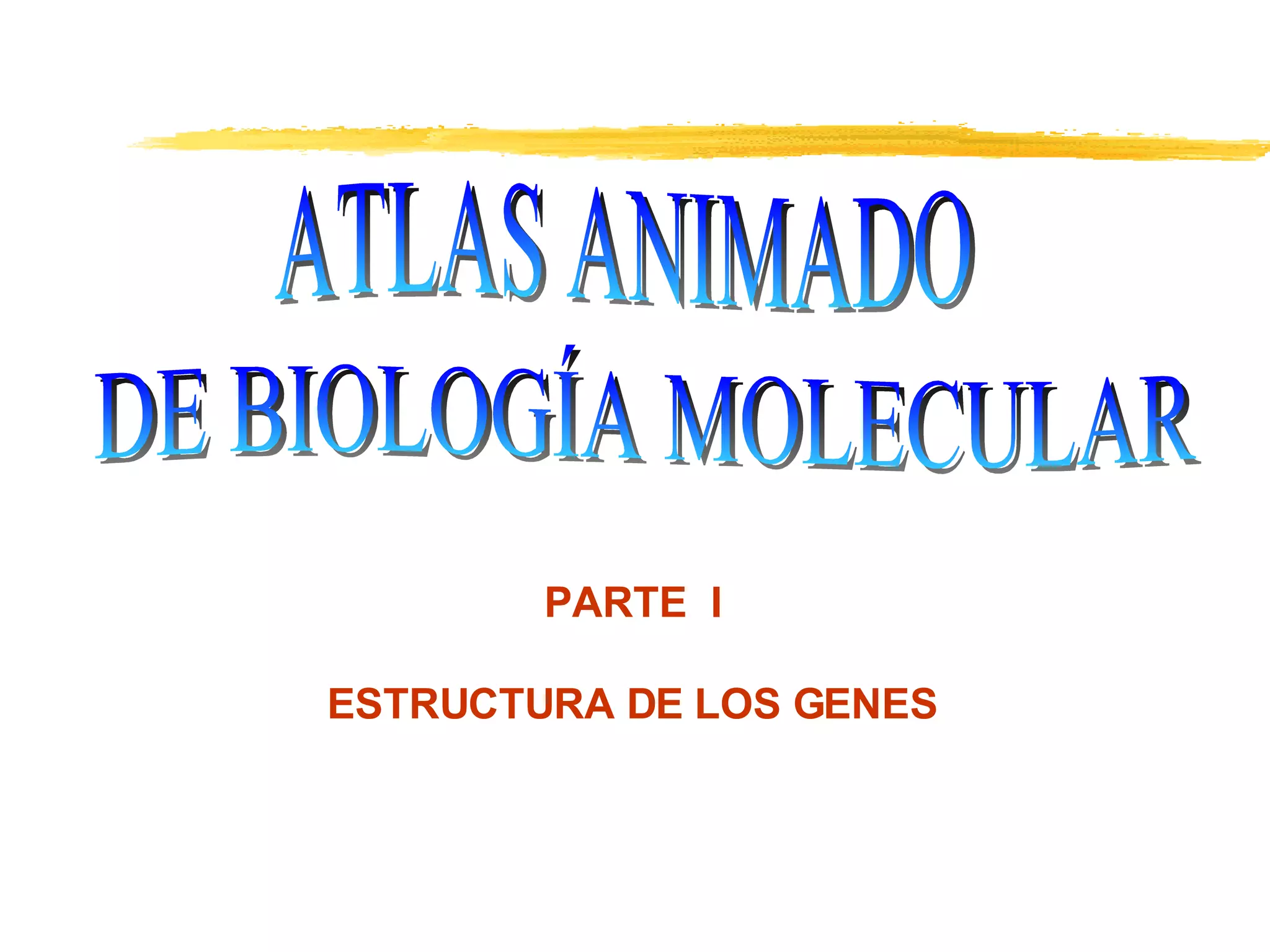 ATLAS ANIMADO DE BIOLOGÍA MOLECULAR  PARTE  I ESTRUCTURA DE LOS GENES 