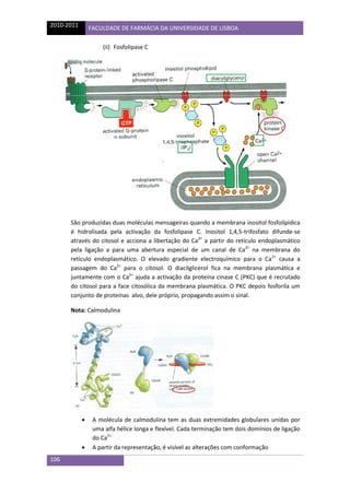 biologia-celular-sebenta.pdf