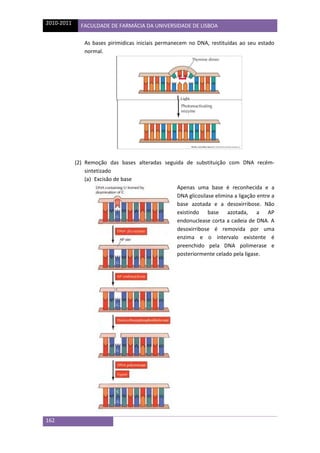 biologia-celular-sebenta.pdf