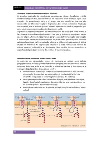 2010-2011 FACULDADE DE FARMÁCIA DA UNIVERSIDADE DE LISBOA
66
Síntese de proteínas em ribossomas livres do citosol
As prote...