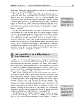 cional, y que debe desempeñar un papel particular en la especificidad de ex-
presión de un gen (Felsenfeld, 1996).
En la actualidad, no podemos imaginar la regulación de la expresión
genética sin antes mirar el contexto cromosómico en el cual un gen o un
grupo de genes se encuentra (Struhl, 1996). Los cromosomas tienen la in-
formación necesaria que permite, de manera totalmente regulada, prender
o apagar un gen, controlar su propia duplicación, reparación y empaqueta-
miento en el interior del núcleo. A su vez, no podemos olvidar que la cro-
matina debe proveer la información necesaria para llevar a cabo el comple-
jo movimiento y migración que deben realizar los cromosomas durante la
mitosis y la meiosis.
El conocimiento generado en la actualidad en cuanto a la expresión di-
ferencial de los genes, a lo largo del desarrollo y la estructura de la croma-
tina, nos lleva a poner en evidencia nuevos niveles de regulación de la ex-
presión genética. De lo anterior surge el interés por conocer más a fondo
esta relación para entender mejor, en un contexto cromosómico y, por lo
tanto, más apegado a lo natural, cómo un gen se expresa de manera diferen-
cial a lo largo del tiempo y del espacio. En este capítulo estudiaremos cómo
se lleva a cabo el inicio de la transcripción en células de origen eucarionte,
completándolo con algunos aspectos de la estructura de la cromatina y or-
ganización nuclear que tienen una relación con la regulación diferencial de
la expresión genética, a lo largo del desarrollo.
La regulación coordinada, en tiempo y espacio, de la expresión de los genes
es esencial para un adecuado crecimiento y desarrollo de un organismo. No
resulta sorprendente imaginar la importancia que tiene la transcripción de
genes que codifican para proteínas como un proceso altamente regulado.
Un gran número de laboratorios de investigación en todo el mundo se ocu-
pan del estudio de la maquinaria molecular responsable de la síntesis del
RNA mensajero (mRNA), en células eucariontes.
En la mayoría de los promotores, la polimerasa realiza varias rondas de
iniciación de manera abortiva, produciendo pequeños transcritos, antes
de escaparse, tomar el molde e iniciar la síntesis de un transcrito comple-
to. El movimiento que realiza la polimerasa, alejándose del sitio de inicio de
la transcripción, se conoce como el episodio de promoter clearance o aber-
tura del promotor. La mayoría de estos episodios están relacionados con las
secuencias de DNA que conforman al promotor y a las interacciones con
factores transcripcionales. Además, existen los elementos de regulación a
distancia, como los estimuladores y los silenciadores, que modulan cada
uno de estos episodios, incrementando o disminuyendo la tasa transcripcio-
nal (Buratowski y Sharp, 1992; Blackwood y Kadonaga, 1998).
En células eucariontes, la transcripción se realiza con base en la acti-
vidad de tres diferentes tipos de polimerasas, las RNA-polimerasas I, II y III,
cada una de las cuales transcribe diferentes grupos de genes. Los genes de
CAPÍTULO 4 CONTROL DE LA EXPRESIÓN GENÉTICA EN EUCARIONTES 65
La transcripción por parte de las diferentes
RNA-polimerasas
Los cromosomas tie-
nen la información
necesaria que permite,
de manera totalmente
regulada, prender o
apagar un gen.
En células eucarion-
tes, la transcripción
se realiza con base en
la actividad de tres di-
ferentes tipos de poli-
merasas, las RNA-po-
limerasas I, II y III.
 