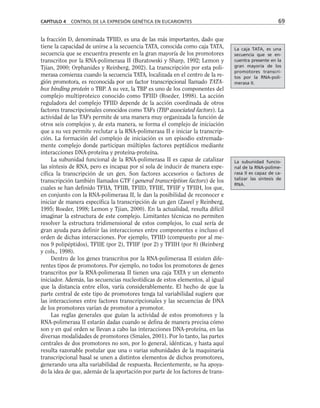 la fracción D, denominada TFIID, es una de las más importantes, dado que
tiene la capacidad de unirse a la secuencia TATA, conocida como caja TATA,
secuencia que se encuentra presente en la gran mayoría de los promotores
transcritos por la RNA-polimerasa II (Buratowski y Sharp, 1992; Lemon y
Tjian, 2000; Orphanides y Reinberg, 2002). La transcripción por esta poli-
merasa comienza cuando la secuencia TATA, localizada en el centro de la re-
gión promotora, es reconocida por un factor transcripcional llamado TATA-
box binding protein o TBP. A su vez, la TBP es uno de los componentes del
complejo multiproteico conocido como TFIID (Roeder, 1998). La acción
reguladora del complejo TFIID depende de la acción coordinada de otros
factores transcripcionales conocidos como TAFs (TBP associated factors). La
actividad de las TAFs permite de una manera muy organizada la función de
otros seis complejos y, de esta manera, se forma el complejo de iniciación
que a su vez permite reclutar a la RNA-polimerasa II e iniciar la transcrip-
ción. La formación del complejo de iniciación es un episodio extremada-
mente complejo donde participan múltiples factores peptídicos mediante
interacciones DNA-proteína y proteína-proteína.
La subunidad funcional de la RNA-polimerasa II es capaz de catalizar
las síntesis de RNA, pero es incapaz por sí sola de inducir de manera espe-
cífica la transcripción de un gen. Son factores accesorios o factores de
transcripción también llamados GTF ( general transcription factors) de los
cuales se han definido TFIIA, TFIIB, TFIID, TFIIE, TFIIF y TFIIH, los que,
en conjunto con la RNA-polimerasa II, le dan la posibilidad de reconocer e
iniciar de manera específica la transcripción de un gen (Zawel y Reinberg,
1995; Roeder, 1998; Lemon y Tjian, 2000). En la actualidad, resulta difícil
imaginar la estructura de este complejo. Limitantes técnicas no permiten
resolver la estructura tridimensional de estos complejos, lo cual sería de
gran ayuda para definir las interacciones entre componentes e incluso el
orden de dichas interacciones. Por ejemplo, TFIID (compuesto por al me-
nos 9 polipéptidos), TFIIE (por 2), TFIIF (por 2) y TFIIH (por 8) (Reinberg
y cols., 1998).
Dentro de los genes transcritos por la RNA-polimerasa II existen dife-
rentes tipos de promotores. Por ejemplo, no todos los promotores de genes
transcritos por la RNA-polimerasa II tienen una caja TATA y un elemento
iniciador. Además, las secuencias nucleotídicas de estos elementos, al igual
que la distancia entre ellos, varía considerablemente. El hecho de que la
parte central de este tipo de promotores tenga tal variabilidad sugiere que
las interacciones entre factores transcripcionales y las secuencias de DNA
de los promotores varían de promotor a promotor.
Las reglas generales que guían la actividad de estos promotores y la
RNA-polimerasa II estarán dadas cuando se defina de manera precisa cómo
son y en qué orden se llevan a cabo las interacciones DNA-proteína, en las
diversas modalidades de promotores (Smales, 2001). Por lo tanto, las partes
centrales de dos promotores no son, por lo general, idénticas, y hasta aquí
resulta razonable postular que una o varias subunidades de la maquinaria
transcripcional basal se unen a distintos elementos de dichos promotores,
generando una alta variabilidad de respuesta. Recientemente, se ha apoya-
do la idea de que, además de la aportación por parte de los factores de trans-
CAPÍTULO 4 CONTROL DE LA EXPRESIÓN GENÉTICA EN EUCARIONTES 69
La caja TATA, es una
secuencia que se en-
cuentra presente en la
gran mayoría de los
promotores transcri-
tos por la RNA-poli-
merasa II.
La subunidad funcio-
nal de la RNA-polime-
rasa II es capaz de ca-
talizar las síntesis de
RNA.
 