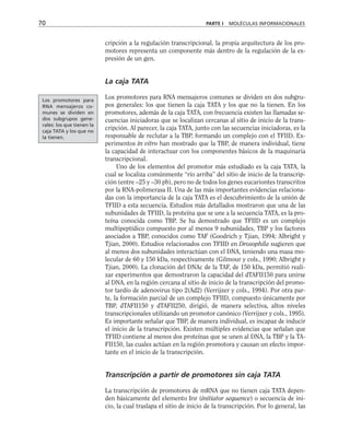 cripción a la regulación transcripcional, la propia arquitectura de los pro-
motores representa un componente más dentro de la regulación de la ex-
presión de un gen.
La caja TATA
Los promotores para RNA mensajeros comunes se dividen en dos subgru-
pos generales: los que tienen la caja TATA y los que no la tienen. En los
promotores, además de la caja TATA, con frecuencia existen las llamadas se-
cuencias iniciadoras que se localizan cercanas al sitio de inicio de la trans-
cripción. Al parecer, la caja TATA, junto con las secuencias iniciadoras, es la
responsable de reclutar a la TBP, formando un complejo con el TFIID. Ex-
perimentos in vitro han mostrado que la TBP, de manera individual, tiene
la capacidad de interactuar con los componentes básicos de la maquinaria
transcripcional.
Uno de los elementos del promotor más estudiado es la caja TATA, la
cual se localiza comúnmente “río arriba” del sitio de inicio de la transcrip-
ción (entre –25 y –30 pb), pero no de todos los genes eucariontes transcritos
por la RNA-polimerasa II. Una de las más importantes evidencias relaciona-
das con la importancia de la caja TATA es el descubrimiento de la unión de
TFIID a esta secuencia. Estudios más detallados mostraron que una de las
subunidades de TFIID, la proteína que se une a la secuencia TATA, es la pro-
teína conocida como TBP. Se ha demostrado que TFIID es un complejo
multipeptídico compuesto por al menos 9 subunidades, TBP y los factores
asociados a TBP, conocidos como TAF (Goodrich y Tjian, 1994; Albright y
Tjian, 2000). Estudios relacionados con TFIID en Drosophila sugieren que
al menos dos subunidades interactúan con el DNA, teniendo una masa mo-
lecular de 60 y 150 kDa, respectivamente (Gilmour y cols., 1990; Albright y
Tjian, 2000). La clonación del DNAc de la TAF, de 150 kDa, permitió reali-
zar experimentos que demostraron la capacidad del dTAFII150 para unirse
al DNA, en la región cercana al sitio de inicio de la transcripción del promo-
tor tardío de adenovirus tipo 2(Ad2) (Verrijzer y cols., 1994). Por otra par-
te, la formación parcial de un complejo TFIID, compuesto únicamente por
TBP, dTAFII150 y dTAFII250, dirigió, de manera selectiva, altos niveles
transcripcionales utilizando un promotor canónico (Verrijzer y cols., 1995).
Es importante señalar que TBP, de manera individual, es incapaz de inducir
el inicio de la transcripción. Existen múltiples evidencias que señalan que
TFIID contiene al menos dos proteínas que se unen al DNA, la TBP y la TA-
FII150, las cuales actúan en la región promotora y causan un efecto impor-
tante en el inicio de la transcripción.
Transcripción a partir de promotores sin caja TATA
La transcripción de promotores de mRNA que no tienen caja TATA depen-
den básicamente del elemento Inr (initiator sequence) o secuencia de ini-
cio, la cual traslapa el sitio de inicio de la transcripción. Por lo general, las
70 PARTE I MOLÉCULAS INFORMACIONALES
Los promotores para
RNA mensajeros co-
munes se dividen en
dos subgrupos gene-
rales: los que tienen la
caja TATA y los que no
la tienen.
 