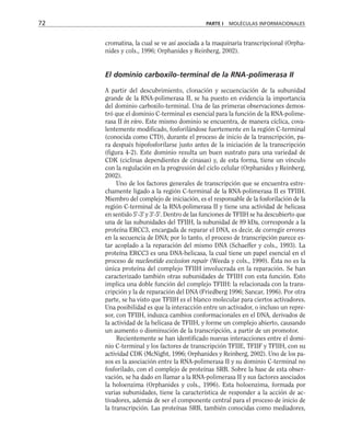 cromatina, la cual se ve así asociada a la maquinaria transcripcional (Orpha-
nides y cols., 1996; Orphanides y Reinberg, 2002).
El dominio carboxilo-terminal de la RNA-polimerasa II
A partir del descubrimiento, clonación y secuenciación de la subunidad
grande de la RNA-polimerasa II, se ha puesto en evidencia la importancia
del dominio carboxilo-terminal. Una de las primeras observaciones demos-
tró que el dominio C-terminal es esencial para la función de la RNA-polime-
rasa II in vivo. Este mismo dominio se encuentra, de manera cíclica, cova-
lentemente modificado, fosforilándose fuertemente en la región C-terminal
(conocida como CTD), durante el proceso de inicio de la transcripción, pa-
ra después hipofosforilarse justo antes de la iniciación de la transcripción
(figura 4-2). Este dominio resulta un buen sustrato para una variedad de
CDK (ciclinas dependientes de cinasas) y, de esta forma, tiene un vínculo
con la regulación en la progresión del ciclo celular (Orphanides y Reinberg,
2002).
Uno de los factores generales de transcripción que se encuentra estre-
chamente ligado a la región C-terminal de la RNA-polimerasa II es TFIIH.
Miembro del complejo de iniciación, es el responsable de la fosforilación de la
región C-terminal de la RNA-polimerasa II y tiene una actividad de helicasa
en sentido 5'-3' y 3'-5'. Dentro de las funciones de TFIIH se ha descubierto que
una de las subunidades del TFIIH, la subunidad de 89 kDa, corresponde a la
proteína ERCC3, encargada de reparar el DNA, es decir, de corregir errores
en la secuencia de DNA; por lo tanto, el proceso de transcripción parece es-
tar acoplado a la reparación del mismo DNA (Schaeffer y cols., 1993). La
proteína ERCC3 es una DNA-helicasa, la cual tiene un papel esencial en el
proceso de nucleotide escission repair (Weeda y cols., 1990). Ésta no es la
única proteína del complejo TFIIH involucrada en la reparación. Se han
caracterizado también otras subunidades de TFIIH con esta función. Esto
implica una doble función del complejo TFIIH: la relacionada con la trans-
cripción y la de reparación del DNA (Friedberg 1996; Sancar, 1996). Por otra
parte, se ha visto que TFIIH es el blanco molecular para ciertos activadores.
Una posibilidad es que la interacción entre un activador, o incluso un repre-
sor, con TFIIH, induzca cambios conformacionales en el DNA, derivados de
la actividad de la helicasa de TFIIH, y forme un complejo abierto, causando
un aumento o disminución de la transcripción, a partir de un promotor.
Recientemente se han identificado nuevas interacciones entre el domi-
nio C-terminal y los factores de transcripción TFIIE, TFIIF y TFIIH, con su
actividad CDK (McNight, 1996; Orphanides y Reinberg, 2002). Uno de los pa-
sos es la asociación entre la RNA-polimerasa II y su dominio C-terminal no
fosforilado, con el complejo de proteínas SRB. Sobre la base de esta obser-
vación, se ha dado en llamar a la RNA-polimerasa II y sus factores asociados
la holoenzima (Orphanides y cols., 1996). Esta holoenzima, formada por
varias subunidades, tiene la característica de responder a la acción de ac-
tivadores, además de ser el componente central para el proceso de inicio de
la transcripción. Las proteínas SRB, también conocidas como mediadores,
72 PARTE I MOLÉCULAS INFORMACIONALES
 