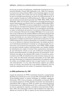 son las que se asocian a la polimerasa, completando la formación de la ho-
loenzima (Koleske y Young, 1994; Orphanides y cols., 1996). Por lo general,
la secuencia de ciertas proteínas SRB no tiene homología alguna con otras
proteínas conocidas. Pero resulta claro que las proteínas SRB son esencia-
les para la actividad transcripcional, por parte de la RNA-polimerasa II. Al
nuevo complejo formado por la RNA-polimerasa II y SRB se le añade una
serie de factores de transcripción generales tipo TFIIB, TFIIH, TFIIE y TFIIF
(McKnight, 1996). Por otra parte, actualmente no ha podido demostrarse de
manera experimental una relación entre los complejos SRB/mediador/RNA-
polimerasa II y TBP/TFIID, de manera independiente al promotor (figura
4-2). Es decir, la convergencia funcional de estos dos complejos está aparen-
temente dictada por el promotor. Después de la convergencia mencionada,
se induce la fosforilación del dominio C-terminal de la RNA-polimerasa II,
con la consecuente liberación del complejo SRB (figura 4-2). Lo que se pro-
pone es que la liberación del complejo SRB da la señal para la formación del
complejo de preiniciación de la transcripción de manera estable. El siguien-
te paso está dictado por una masiva fosforilación de la región C-terminal,
disociando al complejo de preiniciación y generando la transición en la cual
la RNA-polimerasa II se involucra plenamente en el episodio de elongación;
a su vez, se liberan los cofactores transcripcionales. Las señales que provo-
can la fosforilación del dominio C-terminal son aún desconocidas. Pero in-
teracciones con los factores de transcripción, como TFIIB o TFIIH, pueden
por una parte fomentar cambios conformacionales, pero también modular
las fosforilación de la región C-terminal. Otras características interesantes
de esta fosforilación consiste en que esta modificación postraduccional
fluctúa extraordinariamente a lo largo del proceso de transcripción. La fos-
forilación esta dada por dos distintas CDK, siendo el C-terminal un sustra-
to propicio para CDK, de la familia de las serina-treonina-cinasas. De lo an-
terior, surge una observación interesante relacionada con las CDK. Dado
que éstas representan un componente fundamental en la progresión del ci-
clo celular, sus actividades pudieran tener un papel maestro en la regula-
ción transcripcional. A su vez, estas observaciones sugieren que pudiera
existir un vínculo, más estrecho de lo que pudiera imaginarse, entre las
moléculas reguladoras del ciclo celular y la maquinaria transcripcional.
La RNA-polimerasa II y TBP
A partir del aislamiento de TFIID y la posterior clonación y caracterización
del DNAc de la proteína que se une a la caja TATA, denominada TBP por TA-
TA-box-binding protein, se aislaron homólogos en múltiples organismos
(Hernandez, 1993). Como en levadura, en Drosophila y en humano, TBP es
una pequeña proteína de 38 kDa. Estudios funcionales han demostrado la
capacidad de TBP, al igual que TFIID, de mediar una activación basal de
la transcripción por la RNA-polimerasa II. Pero, a diferencia de TFIID, TBP
no tiene la capacidad de respuesta a activadores transcripcionales (Pugh y
Tjian, 1991). De la observación anterior surge la hipótesis que sugiere que,
además de la función de TBP, se requiere de otros factores presentes en el
CAPÍTULO 4 CONTROL DE LA EXPRESIÓN GENÉTICA EN EUCARIONTES 73
 