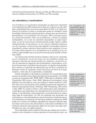 interacciones proteína-proteína. Hay que recordar que TBP actúa en un con-
texto de múltiples interacciones con TFIID y sus TAF asociadas.
Los activadores y coactivadores
Los activadores y/o coactivadores desempeñan un papel muy importante
en la regulación de la RNA-polimerasa II, dado que confieren una alta afini-
dad y especificidad hacia secuencias particulares de DNA en la región pro-
motora. El centrarse en atraer a la polimerasa puede ser realizado a través
de múltiples interacciones proteína-proteína, interacciones que involucran,
principalmente, a los activadores. Por otra parte, TBP se encuentra asocia-
da a numerosas proteínas. Junto con la polimerasa, se forma un complejo
multipeptídico, en el cual, los activadores desempeñan un papel impor-
tante, ya que las interacciones proteína-proteína pueden inducir cambios
conformacionales, lo que genera, a su vez, nuevas o diferentes interaccio-
nes. Por otra parte, y como veremos más adelante, los activadores tienen la
capacidad de reclutar cofactores (tanto positivos como negativos), los cua-
les tienen efectos directos en la remodelación de la estructura de la cro-
matina, imprescindible para la activación transcripcional (Gamble y Freed-
man, 2002).
Las interacciones proteína-proteína, llevadas a cabo por los coactivado-
res y/o correpresores, son las que hacen que los activadores realicen sus
funciones, funciones que incluso pueden ser a distancia, a través de la ac-
ción de elementos de regulación tipo estimuladores o silenciadores, el pri-
mero favoreciendo la actividad transcripcional y el segundo reprimiéndola.
De lo anterior, se desprende una observación que nos lleva a considerar los
diferentes niveles de regulación, dentro del proceso de inicio de la trans-
cripción y, sobre todo, de su plasticidad y complejidad.
Existen activadores y coactivadores eucariontes con la capacidad de inte-
ractuar con miembros de la maquinaria basal de la transcripción, como TFIID
(a través de las distintas TAF), TFIIB, TFIIF y TFIIH (Zawel y Reinberg, 1995;
Triezenberg, 1995; Lemon y Tjian, 2000). Además de los activadores, se han
definido a los coactivadores, como, por ejemplo, el cofactor positivo 4 o PC4,
Dr2, entre otros, cuya función es la de modular de manera aún más fina la ac-
tivación transcripcional (Zawel y Reinberg, 1995; Triezenberg, 1995; Lemon
y Tjian, 2000). Es cuando se llevan a cabo interacciones entre activadores y
coactivadores, que puede darse una remodelación de la estructura de la cro-
matina, la cual permitirá, subsecuentemente, la incorporación de la maqui-
naria basal de transcripción. Las TAF son moléculas que interactúan con
coactivadores y se ha demostrado que estas interacciones contribuyen de ma-
nera importante a la activación. De esta forma, podemos imaginar que TFIID
puede ser un centro con múltiples capacidades de respuesta a distintos tipos
de señales, tanto extra como intracelulares, induciendo variabilidad en las
formas de activación transcripcional y dando, por una parte, una mayor espe-
cificidad y, por otra, una rápida respuesta.
En la actualidad, existen evidencias directas que señalan que la unión o
contacto entre activadores y factores generales de transcripción, junto con
CAPÍTULO 4 CONTROL DE LA EXPRESIÓN GENÉTICA EN EUCARIONTES 75
Los activadores y/o
coactivadores desem-
peñan un papel muy
importante en la re-
gulación de la RNA-
polimerasa II.
La unión o contacto
entre activadores y
factores generales de
transcripción, junto
con el remodelamien-
to de la estructura de
la cromatina, son uno
de los primeros episo-
dios de activación
transcripcional.
Existen activadores y
coactivadores euca-
riontes con la capaci-
dad de interactuar con
miembros de la ma-
quinaria basal de la
transcripción.
 