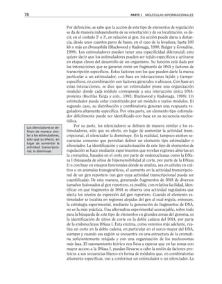 Por definición, se sabe que la acción de este tipo de elementos de regulación
se da de manera independiente de su orientación y de su localización, es de-
cir, en el costado 5' o 3', en relación al gen. Su acción puede darse a distan-
cia, desde unos cuantos pares de bases, en el caso de la levadura, hasta 100
kb o más en Drosophila (Blackwood y Kadonaga, 1998; Bulger y Groudine,
1999). Los estimuladores pueden tener una especificidad diferencial; esto
quiere decir que los estimuladores pueden ser tejido-específicos y activarse
en etapas claves del desarrollo de un organismo. Su función está dada por
las interacciones que se generan entre un fragmento de DNA y factores de
transcripción específicos. Estos factores son los que pueden darle la marca
particular a un estimulador, con base en interacciones tejido y tiempo-
específicos, en combinación con factores generales o ubicuos. Con base en
estas interacciones, se dice que un estimulador posee una organización
modular donde cada módulo corresponde a una interacción única DNA-
proteína (Recillas Targa y cols., 1993; Blackwood y Kadonaga, 1998). Un
estimulador puede estar constituido por un módulo o varios módulos. El
segundo caso, su distribución y combinatoria generan una respuesta re-
guladora altamente específica. Por otra parte, un elemento tipo estimula-
dor difícilmente puede ser identificado con base en su secuencia nucleo-
tídica.
Por su parte, los silenciadores se definen de manera similar a los es-
timuladores, sólo que su efecto, en lugar de aumentar la actividad trans-
cripcional, el silenciador la disminuye. En la realidad, tampoco existen se-
cuencias consenso que permitan definir un elemento tipo estimulador o
silenciador. La identificación y caracterización de este tipo de elementos de
regulación se hace mediante experimentos que revelan regiones abiertas en
la cromatina, basados en el corte por parte de endonucleasas como la DNa-
sa I (búsqueda de sitios de hipersensibilidad al corte, por parte de la DNasa
I) o con base en ensayos funcionales donde se analiza, sea en células en cul-
tivo o en animales transgenéticos, el aumento en la actividad transcripcio-
nal de un gen reportero (un gen cuya actividad transcripcional pueda ser
cuantificada). De esta manera, generando fragmentos de DNA de diversos
tamaños fusionados al gen reportero, es posible, con relativa facilidad, iden-
tificar en qué fragmento de DNA se observa una actividad reguladora que
afecta los niveles de expresión del gen reportero. Cuando el elemento es-
timulador se localiza en regiones alejadas del gen al cual regula, entonces,
la estrategia experimental, mediante la generación de fragmentos de DNA,
no es la más práctica. Una alternativa experimental aconsejable, sobre todo
para la búsqueda de este tipo de elementos en grandes zonas del genoma, es
la identificación de sitios de corte en la doble cadena del DNA, por parte
de la endonucleasa DNasa I. Esta enzima, como veremos más adelante, rea-
liza un corte en la doble cadena, en particular en el surco mayor del DNA,
siempre y cuando esa región se encuentre en una estructura de la cromati-
na suficientemente relajada y con una organización de los nucleosomas
más laxa. El razonamiento teórico nos lleva a esperar que en las zonas con
mayor acceso a la DNasa I, puedan llevarse a cabo la unión de factores pro-
teicos a sus secuencias blanco en forma de módulos que, en combinatorias
altamente específicas, van a conformar un estimulador o un silenciador. La
78 PARTE I MOLÉCULAS INFORMACIONALES
Los silenciadores se de-
finen de manera simi-
lar a los estimuladores,
sólo que su efecto, en
lugar de aumentar la
actividad transcripcio-
nal, la disminuye.
 