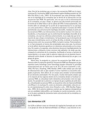 clear. Dos de las proteínas que se unen a las secuencias MAR son la topoi-
somerasa II y la proteína ARBP (attachment region-binding protein) de 110
kDa (Von Kries y cols., 1991). Se ha propuesto que estas proteínas colabo-
ran en la topología de la cromatina que se deriva de la interacción con las
secuencias tipo MAR. En particular, una vez que se da la estructuración
de la cromatina, en asas o loops, se genera una alta tensión provocada por
la torsión de la doble hélice α de la cadena del DNA. Consecuentemente, esta
torsión debe ser aliviada por la acción de la topoisomerasa II, la cual hace
un corte proteolítico y libera la superhelicoidicidad (o torsión) del DNA,
permitiendo una estructuración topológica favorable, mediada en parte por
las secuencias MAR y sus interacciones con la matriz nuclear. Con estos an-
tecedentes, se ha propuesto que la conformación topológica favorable de la
cromatina, a la cual nos referimos anteriormente, no es nada más que la for-
mación de asas o loops cromatinianos. Se ha propuesto que la formación de
estas asas cromatinianas ocurre en la base de ellas, en donde se localizan las
interacciones entre las secuencias MAR y la matriz nuclear. Funcionalmen-
te, se han propuesto al menos dos propiedades para estas asas. La primera
es la de definir dominios genéticos y/o dominios estructurales en la croma-
tina. En cuanto a la segunda, estos dominios favorecen topológicamente las
interacciones a distancia (como veremos más adelante), de modo que des-
compacta la estructura de la cromatina, facilitando el acceso a factores de
transcripción y, en suma, todo lo anterior repercute en un dominio funcio-
nalmente activo donde se favorece la expresión diferencial de un gen o un
grupo de genes.
Ahora bien, la pregunta es: ¿ejercen las secuencias tipo MAR una in-
fluencia sobre la expresión genética? Secuencias MAR que flanquean un gen
reportero tanto homólogo como heterólogo pueden estimular la actividad
transcripcional por un factor que va de 10 a 20 veces (Laemmli y cols.,
1992; Phi-Van y Stratling, 1996; Bonifer, 2000). Cabe señalar que este tipo
de observaciones sólo se dan cuando el vector reportero se encuentra inte-
grado al genoma. Esto difiere de un ensayo para estudiar la funcionalidad
de un elemento estimulador. Por otra parte, resulta interesante señalar que
en la mayoría de las regiones dentro de la cromatina donde se localizan se-
cuencias MAR, se colocalizan tanto elementos estructurales como de regu-
lación. Un ejemplo de lo anterior es el grupo de gen α-globina de pollo don-
de, colocalizando secuencias MAR, se encuentran sitios de hipersensibilidad
a la DNasa I y la nucleasa S1, como un elemento estimulador, sitios de cor-
te a la topoisomerasa II, entre otros (Farache y cols., 1990; Recillas Targa y
cols., 1995). De lo anterior podemos concluir que las regiones intergenéticas
son un candidato indiscutible a ser tomadas en cuenta seriamente, con ba-
se en la gran cantidad de elementos tanto estructurales de la cromatina co-
mo de regulación.
Los elementos LCR
Los LCR se definen como un elemento de regulación formado por un sitio
o un grupo de sitios de hipersensibilidad a la DNasa I, cuya función es ne-
88 PARTE I MOLÉCULAS INFORMACIONALES
Los LCR se definen co-
mo un elemento de re-
gulación formado por
un sitio o un grupo de
sitios de hipersensibili-
dad a la DNasa I.
 