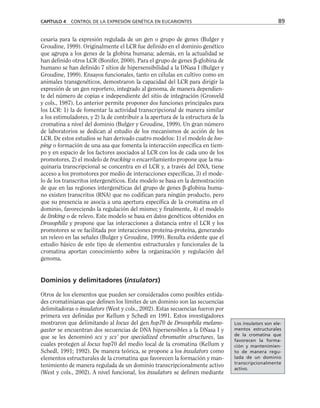cesaria para la expresión regulada de un gen o grupo de genes (Bulger y
Groudine, 1999). Originalmente el LCR fue definido en el dominio genético
que agrupa a los genes de la globina humana; además, en la actualidad se
han definido otros LCR (Bonifer, 2000). Para el grupo de genes β-globina de
humano se han definido 7 sitios de hipersensibilidad a la DNasa I (Bulger y
Groudine, 1999). Ensayos funcionales, tanto en células en cultivo como en
animales transgenéticos, demostraron la capacidad del LCR para dirigir la
expresión de un gen reportero, integrado al genoma, de manera dependien-
te del número de copias e independiente del sitio de integración (Grosveld
y cols., 1987). Lo anterior permite proponer dos funciones principales para
los LCR: 1) la de fomentar la actividad transcripcional de manera similar
a los estimuladores, y 2) la de contribuir a la apertura de la estructura de la
cromatina a nivel del dominio (Bulger y Groudine, 1999). Un gran número
de laboratorios se dedican al estudio de los mecanismos de acción de los
LCR. De estos estudios se han derivado cuatro modelos: 1) el modelo de loo-
ping o formación de una asa que fomenta la interacción específica en tiem-
po y en espacio de los factores asociados al LCR con los de cada uno de los
promotores, 2) el modelo de tracking o encarrilamiento propone que la ma-
quinaria transcripcional se concentra en el LCR y, a través del DNA, tiene
acceso a los promotores por medio de interacciones específicas, 3) el mode-
lo de los transcritos intergenéticos. Este modelo se basa en la demostración
de que en las regiones intergenéticas del grupo de genes β-globina huma-
no existen transcritos (RNA) que no codifican para ningún producto, pero
que su presencia se asocia a una apertura específica de la cromatina en el
dominio, favoreciendo la regulación del mismo; y finalmente, 4) el modelo
de linking o de relevo. Este modelo se basa en datos genéticos obtenidos en
Drosophila y propone que las interacciones a distancia entre el LCR y los
promotores se ve facilitada por interacciones proteína-proteína, generando
un relevo en las señales (Bulger y Groudine, 1999). Resulta evidente que el
estudio básico de este tipo de elementos estructurales y funcionales de la
cromatina aportan conocimiento sobre la organización y regulación del
genoma.
Dominios y delimitadores (insulators)
Otros de los elementos que pueden ser considerados como posibles entida-
des cromatinianas que definen los límites de un dominio son las secuencias
delimitadoras o insulators (West y cols., 2002). Estas secuencias fueron por
primera vez definidas por Kellum y Schedl en 1991. Estos investigadores
mostraron que delimitando al locus del gen hsp70 de Drosophila melano-
gaster se encuentran dos secuencias de DNA hipersensibles a la DNasa I y
que se les denominó scs y scs’ por specialized chromatin structures, las
cuales protegen al locus hsp70 del medio local de la cromatina (Kellum y
Schedl, 1991; 1992). De manera teórica, se propone a los insulators como
elementos estructurales de la cromatina que favorecen la formación y man-
tenimiento de manera regulada de un dominio transcripcionalmente activo
(West y cols., 2002). A nivel funcional, los insulators se definen mediante
CAPÍTULO 4 CONTROL DE LA EXPRESIÓN GENÉTICA EN EUCARIONTES 89
Los insulators son ele-
mentos estructurales
de la cromatina que
favorecen la forma-
ción y mantenimien-
to de manera regu-
lada de un dominio
transcripcionalmente
activo.
 