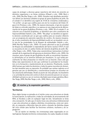 capaz de proteger a diversos genes reporteros del efecto de posición en
distintos organismos y en líneas celulares (Pikaart y cols., 1998; West y
cols., 2002; Recillas Targa y cols., 2002). Estudios más detallados permitie-
ron definir los dominios aledaños al grupo de genes β-globina de pollo. En
el costado 5' se identificó una región de 16 kb de cromatina condensada y,
“río arriba”, un gen que codifica para uno de los receptores del folato (fi-
gura 4-4; Prioleau y cols., 1999). De manera interesante, el gen de receptor
de folato es eritroide-específico y se expresa en una etapa previa de diferen-
ciación de los genes β-globina (Prioleau y cols., 1999). En el costado 3', en
relación con el dominio β-globina, se identificó otro sitio constitutivo de
hipersensibilidad (Saitoh y cols., 2000). “Río abajo” se identificó al siguien-
te dominio constituido por un gen que codifica para un receptor olfatorio
con un programa de expresión específico de cerebro. De manera inespera-
da, el sitio constitutivo de hipersensibilidad resultó ser un insulator con só-
lo una de las propiedades: la de bloqueo de estimulador (Saitoh y cols.,
2000; Recillas Targa y cols., 2002). Un punto adicional es que la actividad
de bloqueo de estimulador es dependiente del factor nuclear CTCF, el cual
se encuentra in vivo en ambos límites del dominio β-globina de pollo (Re-
cillas Targa y cols., 2002). Todas estas características representan el primer
ejemplo de la organización del genoma en dominios (West y cols., 2002). En
resumen, para el grupo de gen β-globina de pollo se encuentran claramen-
te delimitados en un dominio definido por insulators, lo cual valida par-
cialmente las ideas propuestas en relación con su función. Claro está que
faltan más experimentos in vivo que confirmen la actividad de los insula-
tors en la formación y mantenimiento de un dominio. Finalmente, resulta
difícil pensar que todos los dominios o todos los genes necesiten de elemen-
tos tipo insulator para su expresión. Es probable que existan regiones en el
genoma que por su distribución y características propias no necesiten ser
tan claramente delimitadas. Desde un punto de vista aplicado, los insulators
y su actividad de protección contra el efecto de posición parecen ser una po-
sibilidad real para su uso en vectores diseñados para terapia genética (Reci-
llas Targa, 2000; Recillas Targa y cols., 2002; West y cols., 2002).
Territorios
Hace algún tiempo se pensaba en el núcleo como una estructura en donde
la transcripción, la replicación y todas las actividades de procesamiento del
RNA, se llevaban a cabo en cualquier lugar de éste. Actualmente se tiene
otra concepción. Se sabe que el núcleo tiene una estructura tridimensional
y que esta estructura se adapta a distintas circunstancias, como por ejem-
plo, en respuesta a diferentes tipos de estrés o durante las distintas etapas
del ciclo celular para facilitar las funciones celulares, nucleares y de se-
gregación.
En un núcleo en interfase, los cromosomas están organizados en zo-
nas/regiones llamados territorios cromosomales, los cuales, basados en mode-
CAPÍTULO 4 CONTROL DE LA EXPRESIÓN GENÉTICA EN EUCARIONTES 91
El núcleo y la expresión genética
 