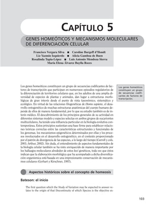 Los genes homeóticos constituyen un grupo de secuencias codificantes de fac-
tores de transcripción que participan en numerosos episodios regulatorios de
la diferenciación de territorios celulares que, en los adultos de una amplia di-
versidad de especies de plantas y animales, dan lugar a estructuras morfo-
lógicas de gran interés desde el punto de vista taxonómico, sistemático y
ecológico. En virtud de las relaciones filogenéticas de Homo sapiens, el desa-
rrollo ontogenético de muchas estructuras anatómicas del cuerpo humano de-
pende de ellos de manera fundamental, por lo que su estudio también es de in-
terés médico. El descubrimiento de los principios generales de su actividad en
diferentes sistemas modelo y especies selectas en ambos grupos de eucariontes
multicelulares, ha tenido una influencia particular en la biología evolutiva con-
temporánea. Estos principios sustentan una base firme para establecer relacio-
nes teóricas correctas entre las características estructurales y funcionales de
los genomas, los mecanismos epigenéticos determinados por ellas y los proce-
sos involucrados en el desarrollo ontogenético, en el contexto proporcionado
por el patrón de divergencia de las especies, a lo largo del tiempo (Carroll y cols.
2001; Arthur, 2002). Sin duda, el entendimiento de aspectos fundamentales de
la biología celular también se ha visto enriquecido de manera importante por
los hallazgos moleculares alrededor de estos loci genéticos, toda vez que éstos
indican que la elaboración morfológica que ha acompañado a dicha diversifica-
ción organísmica está basada en una impresionante conservación de mecanis-
mos celulares (Gerhart y Kirschner, 1997).
Bateson: el inicio
The first question which the Study of Variation may be expected to answer re-
lates to the origin of that Discontinuity of which Species is the objective ex-
103
GENES HOMEÓTICOS Y MECANISMOS MOLECULARES
DE DIFERENCIACIÓN CELULAR
CAPÍTULO 5
Francisco Vergara Silva ■ Caroline Burgeff d’Hondt
Liz Yazmín Izquierdo ■ Alicia Gamboa de Buen
Rosalinda Tapia-López ■ Luis Antonio Mendoza Sierra
María Elena Álvarez Buylla Roces
Aspectos históricos sobre el concepto de homeosis
Los genes homeóticos
constituyen un grupo
de secuencias codifi-
cantes de factores de
transcripción.
 