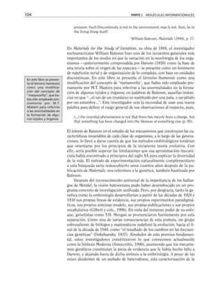 pression. Such Discontinuity is not in the environment; may it not, then, be in
the living thing itself?
William Bateson, Materials (1894), p. 17.
En Materials for the Study of Variation, su obra de 1894, el investigador
norteamericano William Bateson hizo uno de los recuentos generales más
importantes de los modos en que la variación en la morfología de los orga-
nismos —anteriormente comprendida por Darwin (1859) como la base de
una teoría sobre el origen de las especies— se presenta como un fenómeno
de repetición serial y de organización de lo complejo, con base en unidades
discontinuas. En este libro se presenta el término homeosis como una
modificación del concepto de “metamorfía”, que había sido empleado pre-
viamente por M.T. Masters para referirse a las anormalidades en la forma-
ción de algunos tejidos y órganos; en palabras de Bateson, aquellas instan-
cias en que “...el ojo de un crustáceo es sustituido por una pata, o un pétalo
por un estambre...”. Este investigador veía la necesidad de usar una nueva
palabra para definir el rasgo general de sus observaciones al respecto, pues,
(...) the essential phenomenon is not that there has merely been a change, but
that something has been changed into the likeness of something else (p. 85).
El interés de Bateson en el estudio de los mecanismos que construyen las ca-
racterísticas invariables de cada clase de organismo, a lo largo de las genera-
ciones, lo llevó a darse cuenta de que los métodos embriológicos tendrían
que orientarse por los principios de la incipiente teoría evolutiva. Con
ello, sería posible superar las limitaciones que esa aproximación mecani-
cista había encontrado a principios del siglo XX para explicar la diversidad
de la vida. El método de experimentación naturalmente complementario
a esta búsqueda sería redescubierto unos cuantos años después de la pu-
blicación de Materials: nos referimos a la genética, también bautizada por
Bateson.
Después del reconocimiento universal de la importancia de los hallaz-
gos de Mendel, la visión batesoniana pudo haber desembocado en un pro-
grama concreto de investigación unificada. Pero, por desgracia, tanto la ge-
nética como la embriología desarrollarían a partir de las décadas de 1920 y
1930 sus propias líneas de evidencia, sus propios experimentos paradigmá-
ticos, sus propios sistemas modelo, sus propias publicaciones y sus propios
vocabularios (Gilbert y cols., 1996). En vista del inmenso poder de su enfo-
que, genetistas como T.H. Morgan se pronunciaron fuertemente por esta
separación. Como una de varias consecuencias de esta postura, un grupo
sobresaliente de biólogos y matemáticos redefinió la evolución, hacia el fi-
nal de la década de 1940, como “el resultado de los cambios en las frecuen-
cias genéticas” (Dobzhansky, 1937). Alrededor de esta premisa fundamen-
tal, estos investigadores constituyeron lo que conocemos actualmente
como la Síntesis Moderna (Smocovitis, 1996), asumiendo que los mecanis-
mos genéticos constituían la pieza de evidencia que le había hecho falta a
Darwin, y dejando fuera de dicha síntesis a la embriología. A pesar de las
voces disidentes de un puñado de heterodoxos, esta caracterización de la
104 PARTE I MOLÉCULAS INFORMACIONALES
En este libro se presen-
ta el término homeosis
como una modifica-
ción del concepto de
“metamorfía”, que ha-
bía sido empleado pre-
viamente por M.T.
Masters para referirse
a las anormalidades en
la formación de algu-
nos tejidos y órganos.
 