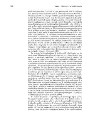 Goldschmidt en 1938. En su libro de 1940, The Material Basis of Evolution,
este personaje lanzó un serio ataque en contra de la Síntesis Moderna, la
ortodoxia reinante en la biología evolutiva, que menospreciaba el papel cru-
cial del desarrollo embrionario en la diversificación organísmica. Los argu-
mentos de Goldschmidt hacían referencia explícita a los fenotipos homeóti-
cos y se basaban en experiencia personal, como lo demuestra su monografía
sobre el mutante podoptera en Drosophila (Goldschmidt y cols., 1951), en el
cual se observa el crecimiento de patas en el lugar que normalmente habría
alas. Goldschmidt sugería que, en diferentes momentos durante el desarro-
llo de las larvas, una serie de “sustancias evocadoras” eran liberadas, deter-
minando el destino adulto de aquellos discos imaginales que estaban “ma-
duros” para tal proceso. Los evocadores, eminentemente extrínsecos según
este modelo, circularían por la hemolinfa y afectarían únicamente las célu-
las de aquellas estructuras que ya habían alcanzado un estado de competen-
cia. Esta hipótesis mecanística, sin embargo, estaba basada en evidencia
preliminar y resultó ser errónea. Experimentos posteriores demostrarían
que los discos imaginales pueden concluir su etapa larvaria separados de la
irrigación hemolinfática, y que los discos homeóticos previamente estable-
cidos como tales podían desarrollarse de manera autónoma dentro de lar-
vas huéspedes silvestres (Ouweneel, 1976).
En general, las contribuciones de Goldschmidt relacionadas con los
mecanismos del desarrollo embrionario cayeron en el olvido durante años
debido a su insistencia en rechazar el modelo morganiano de los genes co-
mo “cuentas de collar” (Dietrich, 2000a). Como es bien sabido, esta visión
de los genes se aceptó universalmente a partir de las investigaciones sobre
la naturaleza química del material hereditario que se derivaron del trabajo
de Watson, Crick y sus colegas cristalógrafos y bioquímicos de bacteriófa-
gos. En paralelo, sus ideas generales sobre el proceso evolutivo —en espe-
cial, su definición de las macromutaciones como modificaciones fenotípicas
discontinuas que son el resultado de cambios a gran escala en procesos em-
briológicos (Dietrich, 1992)— fueron constantemente combatidas e inclu-
so ridiculizadas por los principales arquitectos de la Síntesis (particular-
mente por el ornitólogo alemán Ernst Mayr; ver, por ejemplo, Mayr, 1942 y
1997). Irónicamente, el curso que actualmente lleva la reconstrucción de la
biología evolutiva, a partir de la incorporación de los hallazgos moleculares
sobre los genes homeóticos (Vergara-Silva y Álvarez-Buylla, 2001; Vergara-
Silva, 2002) y muchas otras evidencias embriológicas modernas han pro-
movido recientemente un serio reexamen de la importancia de su trabajo
(Dietrich, 1995). Este análisis ha desembocado en el reconocimiento de su
lugar como uno de los pioneros en los esfuerzos por integrar a la genética,
la embriología y la evolución (Dietrich, 2000b).
De manera totalmente independiente, el embriólogo inglés Conrad
Waddington también sugirió a los evolucionistas de la Síntesis voltear la
atención hacia la ontogenia, y fue el autor de la segunda hipótesis relevan-
te sobre los posibles mecanismos de la homeosis (Waddington, 1940 y 1966).
Guiado por la evidencia previa a su propio trabajo en Drosophila, donde
saltaba a la vista que los evocadores eran muy posiblemente de naturaleza
intrínseca, este investigador pensaba que la causa de las transformaciones
106 PARTE I MOLÉCULAS INFORMACIONALES
 