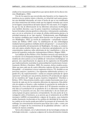 estaba en los mecanismos epigenéticos que operan dentro de los discos mis-
mos (Waddington, 1942).
Uno de los aspectos que encontraba más llamativo en los órganos ho-
meóticos era su carácter entero y discreto, en virtud del cual nunca presen-
tan una identidad intermedia, así como el hecho de que se ven modificados
por otras mutaciones del mismo modo que los órganos normales que crecen
en los lugares característicos del taxón natural. Por esta razón, él se imagina-
ba que las vías de diferenciación de las diferentes estructuras morfológicas
eran también discretas y que los genes respectivos (cualesquiera que éstos
fueran) formaban sistemas genéticos coherentes e intensamente canalizados,
que a su vez se activarían en un campo de células embrionarias gracias a la
actividad temprana de un “gen maestro”. Evidentemente, para Waddington
los mejores candidatos para cumplir dicha función eran los genes homeóti-
cos (Waddington, 1953). La noción de canalización —actualizada reciente-
mente por Wilkins (1997) como “la estabilización de vías embriológicas
mediante factores genéticos múltiples dentro del genoma”— es una de las he-
rencias perdurables del pensamiento de Waddington. Sin duda, su compren-
sión aún espera estudios futuros que la relacionen apropiadamente con los
conocimientos modernos sobre pleiotropía de loci cuantitativos y otros as-
pectos de la genética molecular contemporánea (Gibson y Wagner, 2000).
Los trabajos de Roy Britten y Eric Davidson merecen una mención por
su relación con la búsqueda propuesta en los textos de Waddington. En los
modelos de estos autores ya no se hablaba de “estructuras morfológicas” en
general, sino específicamente de algunos de los segmentos de Drosophila
que tradicionalmente mostraban la potencialidad de transformarse homeó-
ticamente (Britten y Davidson, 1969). En resumen, dichos modelos postu-
laban que para cada una de cuatro diferentes regiones del plan corporal de
Drosophila —el metatórax (o tercer segmento torácico, T3), dividido en sus
porciones anterior y posterior, y los segmentos abdominales primero y se-
gundo (A1 y A2, respectivamente)— existía un conjunto particular de “genes
expresores” activados por una proteína alostérica (P) producida por alguno
de los miembros del “juego de genes maestros integradores” (Davidson y
Britten, 1971). Esta proteína tendría cuatro estados funcionales para la ac-
tivación de cada uno de los conjuntos diferentes de expresores. Esta defini-
ción de estados se llevaría a cabo mediante la asociación de moléculas in-
ductoras (I) a tres sitios alostéricos dentro de P. El elemento novedoso en
esta idea es la postulación de un gradiente de I; en diferentes regiones del
embrión, P se asociaría con una, dos o tres moléculas I y de ese modo acti-
varía al grupo de genes expresores correpondiente. En este punto de la in-
vestigación sobre el fenómeno, ya se preveía que el aislamiento de un RNA
mensajero (mRNA) correspondiente a alguno de los genes, cuya mutación
estaba claramente involucrada en los cambios de identidad de los segmen-
tos, podría ser de mucha ayuda para definir los porqués de la homeosis. Sin
embargo, los conocimientos necesarios para llevar esto a cabo —como, por
ejemplo, el mapeo de los cromosomas de las glándulas salivales— aún no
existían de manera completa.
Varios años después, con el advenimiento de las tecnologías propias de
la biología molecular —y gracias a algunos de los descubrimientos tratados
CAPÍTULO 5 GENES HOMEÓTICOS Y MECANISMOS MOLECULARES DE DIFERENCIACIÓN CELULAR 107
 