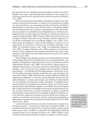 gen ancestral de esta subfamilia haya antecedido al origen de las extre-
midades como tales, y que dicho gen haya cumplido en un principio con
funciones diferentes de la especificación de dichas estructuras (Shubin y
cols., 1997).
Entre los ejemplos más interesantes y discutidos al respecto de la asig-
nación de funciones diferenciales a lo largo de la evolución para los genes
con cajas homeóticas y sus consecuencias sobre la estimación de hipótesis
de homología se encuentra el caso del locus Pax6 y su homólogo eyeless
(ey), provenientes del ratón y la mosca, respectivamente. Estos genes pare-
cen ser centrales en la actividad de una red regulatoria que controla la mor-
fogénesis del ojo en varios grupos de animales con estructuras oculares di-
vergentes (Gehring e Ikeo, 1999; Treisman, 1999); entre otras funciones, ey
es capaz de inducir el desarrollo de ojos ectópicos cuando se expresa en si-
tios donde normalmente no le corresponde (Halder y cols., 1995). Un se-
gundo grupo de evidencias en favor de esta hipótesis se relaciona con la
conservación de secuencias y funciones en el humano (Quiring y cols.,
1994), los nemertinos (Loosli y cols., 1996), los cefalópodos (Tomarev y
cols., 1997) y el anfioxo (Glardon y cols., 1998); asimismo, se ha demostra-
do que la vía de señalización que controla la expresión de ey y que es orga-
nizada por el gen Notch está conservada tanto en la rana como en la mosca
(Onuma y cols., 2002).
Otros hallazgos, sin embargo, apuntan a que la participación central de
los homólogos de Pax6 en la ontogenia del ojo no es tan generalizada —por
ejemplo, el desarrollo por regeneración de los ojos en las planarias es Pax6-
independiente (Pineda y cols., 2002). Por este motivo, algunos autores ac-
tualmente piensan que, en el ancestro común de protostomados y deuteros-
tomados —que no tenía aún ojos complejos, sino únicamente receptores
fotosensibles—, el homólogo de Pax6 estaba dedicado a determinar el des-
tino de células sensoriales en tejido ectodermal, pero no de especificar ojos
como tales (Nilsson, 1996). Recientemente, Arendt y Wittbrodt (2001) han
sugerido que Urbilateria —el ancestro común hipotético de todos los ani-
males bilaterales— ya poseía ojos simples, pero mientras la homología de
los ojos cerebrales en Protostomia puede sustentarse, es probable que di-
chas estructuras no provengan de un ancestro común —al menos, la com-
paración hecha entre animales cordados y no cordados. El caso de los genes
Pax y la determinación de la identidad de estructuras oculares ilustra, pues,
que los genes homeóticos no hacen exactamente lo mismo en todas las
especies en las cuales su función se ha estudiado en detalle. No obstante, es-
to no elimina la validez del consenso actual que afirma que los genes ho-
meóticos, en virtud de sus funciones celulares, siempre han participado en
algún aspecto del desarrollo de los planes corporales (Knoll y Carroll, 1999;
Carroll y cols., 2001).
La aplicación generalizada de una de las técnicas más comunes de la
biología molecular —la reacción en cadena de la polimerasa (PCR)— ha
permitido la detección de genes Hox en cientos de especies, algunas de las
cuales nunca serán accesibles a la aplicación de metodologías genéticas
convencionales (ver, por ejemplo, De Rosa y cols., 1999). Aunque a veces
la PCR no proporciona información inequívoca respecto al número de ge-
CAPÍTULO 5 GENES HOMEÓTICOS Y MECANISMOS MOLECULARES DE DIFERENCIACIÓN CELULAR 119
Los genes homeóticos,
en virtud de sus fun-
ciones celulares, siem-
pre han participado
en algún aspecto del
desarrollo de los pla-
nes corporales.
 