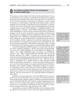 El resumen que hemos hecho de la historia del descubrimiento de los ge-
nes homeóticos en los animales, y la descripción de algunos de los aspectos
moleculares más relevantes sobre ellos, bien pueden crear la impresión de
que los términos homeótico y homeobox son sinónimos, y que la reunión
de la genética, la embriología y la sistemática sólo pueden ayudar a resolver
preguntas acerca del origen y diversificación de los metazoarios. Lo anterior
está lejos de ser cierto: la aplicación de la metodología genético-molecular
a algunas especies modelo de dicotiledóneas —Arabidopsis thaliana y An-
tirrhinum majus, en especial— ha permitido el hallazgo de una segunda fa-
milia multigenética, cuyas funciones conjuntas bien pueden considerarse
análogas a las de los genes homeóticos en los animales. Al igual que los
genes homeobox, la agrupación de genes MADS-box (Theissen y cols., 2000;
Vergara-Silva y cols., 2000) tiene una amplia distribución taxonómica, e in-
cluso, además de su papel fundamental en la morfogénesis de las estructu-
ras de las plantas terrestres, algunas de las proteínas codificadas por estos
genes participan en la respuesta a feromonas y en el metabolismo de argi-
nina en levadura (Herskowitz, 1989; Dubois y Messenguy, 1991), así como
en el desarrollo de los tejidos musculares en animales (Buckingham, 1994).
La familia multigenética MADS-box deriva su nombre de las iniciales de
sus cuatro miembros fundadores —MCM1 (proveniente de Saccharomy-
ces; Jarvis y cols., 1989), AGAMOUS (AG; un gen hallado en Arabidopsis; Ya-
nofsky y cols., 1990), DEFICIENS (que se encuentra en Antirrhinum;
Sommer y cols., 1990) y SERUM RESPONSE FACTOR (SRF; un gen del
humano, Norman y cols., 1988)—, y agrupa a las secuencias codificadoras
de factores de transcripción que presentan un dominio formado por 60 ami-
noácidos denominado MADS (Schwarz-Sommer y cols., 1990). En un prin-
cipio, se consideraba que la unidad mínima de unión específica al DNA
estaba constituida por este dominio —el más conservado de toda la proteí-
na— más 30 a 40 aminoácidos en la región carboxilo-terminal (Mueller y
Nordheim, 1991). Gracias al trabajo cristalográfico realizado con la proteí-
na codificada por SRF, se sabe ahora que el dominio MADS se pliega en
un motivo estructural nuevo para la interacción con el DNA y para la dime-
rización que consiste en un rizo enrollado antiparalelo de dos hélices α an-
fipáticas, cada una proveniente de una subunidad diferente (Pellegrini y
cols., 1995).
Al igual que los homeodominios, el dominio MADS presenta una serie
de sitios muy conservados dentro de su secuencia. El recuento de 107 pro-
teínas pertenecientes a plantas, hongos y animales ha permitido identificar
que I11, K23, R24, K30, K31, E34 y L38 son residuos absolutamente inva-
riantes, así como 9 residuos más, donde los cambios de aminoácido han si-
do muy raros y conservativos, y finalmente 16 sitios de cambios no conser-
vativos en menos de 5% de los casos (Theissen y cols., 1996).
Las proteínas con dominios MADS de plantas son de naturaleza modu-
lar. Además de este dominio, existe en ellas una región parcialmente con-
CAPÍTULO 5 GENES HOMEÓTICOS Y MECANISMOS MOLECULARES DE DIFERENCIACIÓN CELULAR 121
Las plantas también tienen loci homeóticos:
la familia MADS-box
Al igual que los genes
homeobox, la agrupa-
ción de genes MADS-
box tiene una amplia
distribución taxonó-
mica.
La familia multigénica
MADS-box deriva su
nombre de las iniciales
de sus cuatro miem-
bros fundadores y
agrupa a las secuen-
cias codificadoras de
factores de transcrip-
ción que presentan un
dominio formado por
60 aminoácidos deno-
minado MADS.
El dominio MADS pre-
senta una serie de
sitios muy conserva-
dos dentro de su se-
cuencia.
 